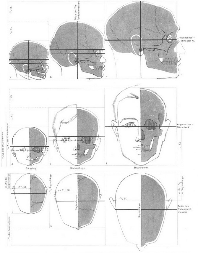 propo_head.jpg propo_head.jpg